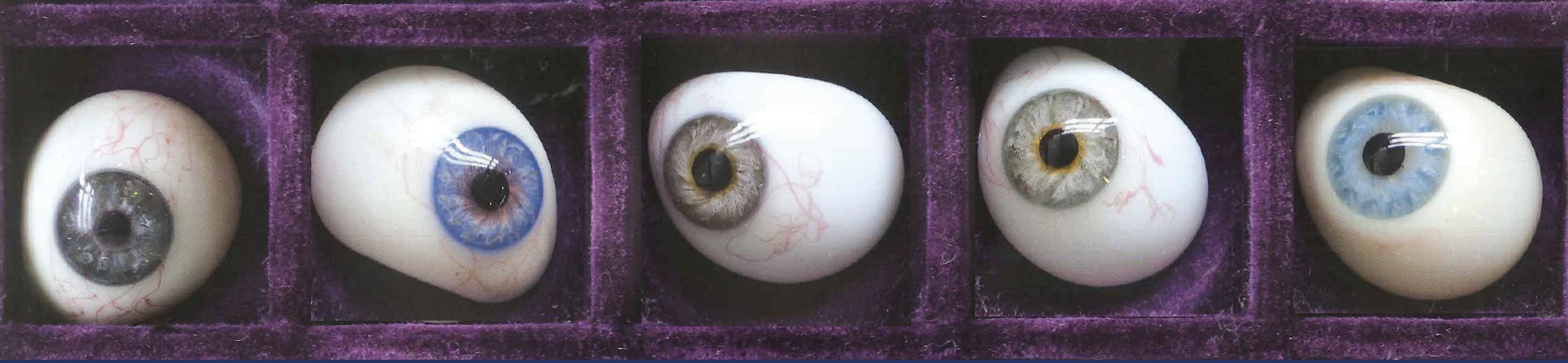 Rotterdam Ocular Melanoma Center